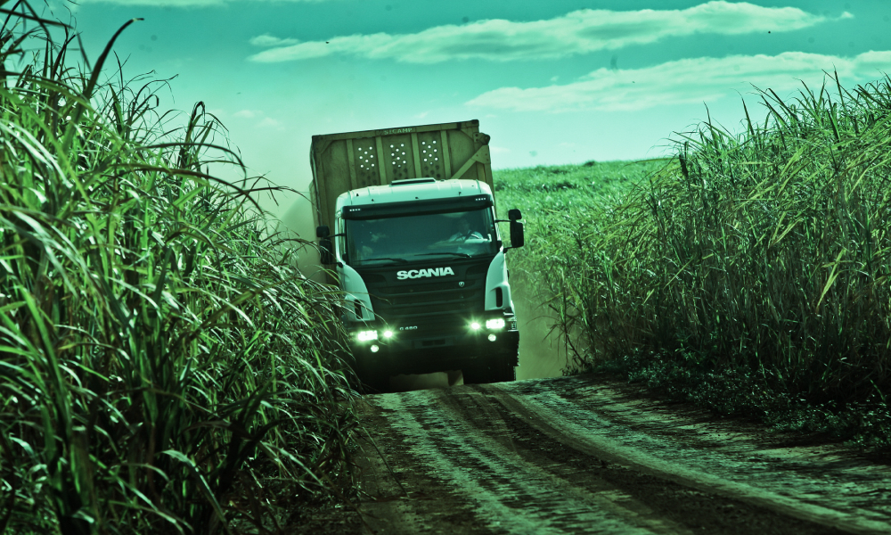 Foto de caminhão transportando cana